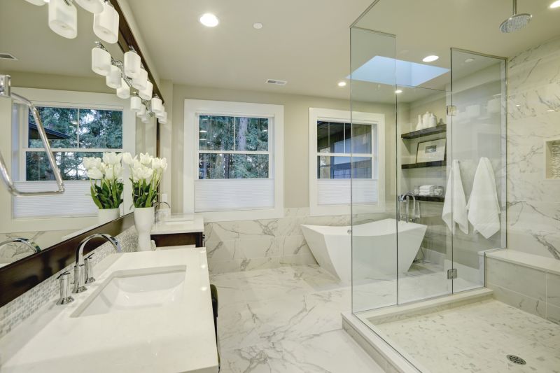 Luxury Shower Design